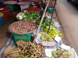 Thailand2009-OddsAndEnds-013